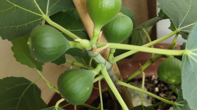 综合布线施工报价多少钱一米